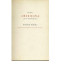 Poesia americana contemporanea e poesia negra