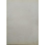 Capolavori del Museo di Nizza: Henri Matisse