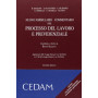 Nuovo formulario del processo del lavoro e previdenziale. Commentario. Con CD-ROM