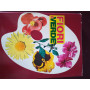 Fiori e verde