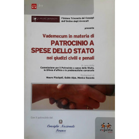 Vademecum in materia di patrocinio a spese dello stato nei giudizi civili e penali