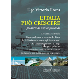 L'Italia può crescere. Producendo non importando