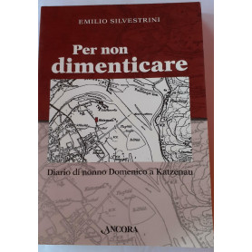 Per non dimenticare : diario di nonno Domenico a Katzenau