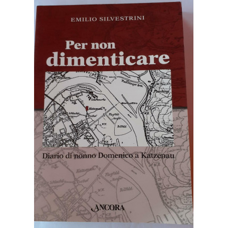 Per non dimenticare : diario di nonno Domenico a Katzenau
