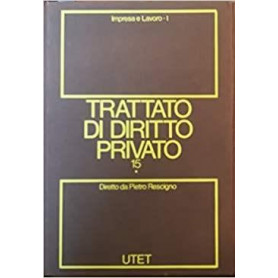 Trattato di diritto privato (Vol. 15) tomo 1