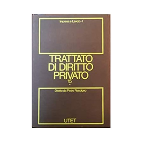 Trattato di diritto privato (Vol. 15) tomo 1