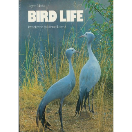 Bird Life