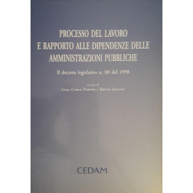 Processo del lavoro e rapporto alle dipendenze delle amministrazioni pubbliche : il Decreto legislativo n. 80 del 1998
