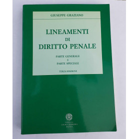 Lineamenti di diritto penale : parte generale e parte speciale