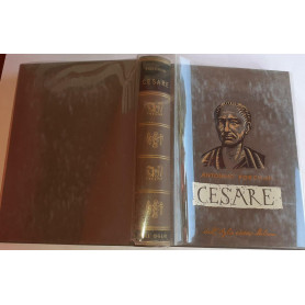 Cesare
