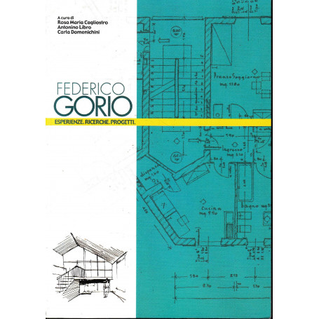 Federico Gorio: esperienze