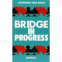 Bridge in progress