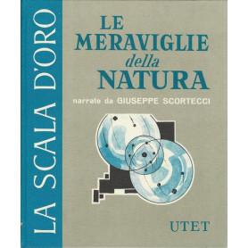 LE MERAVIGLIE DELLA NATURA - La scala d'oro