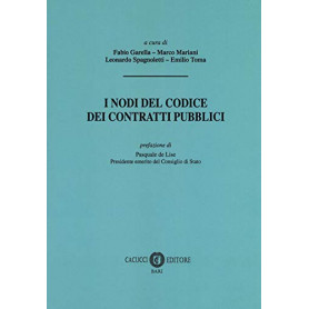 Nodi del codice dei contratti pubblici