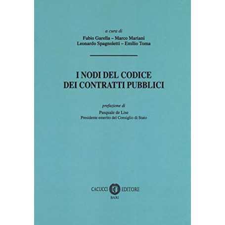 Nodi del codice dei contratti pubblici