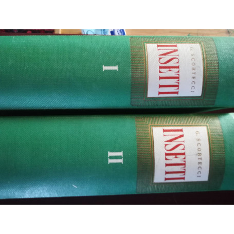 Gli insetti