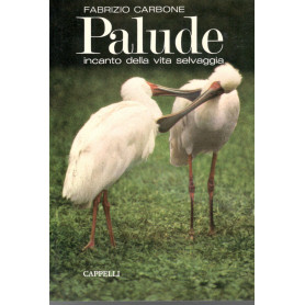 Palude