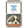 Avere un cane