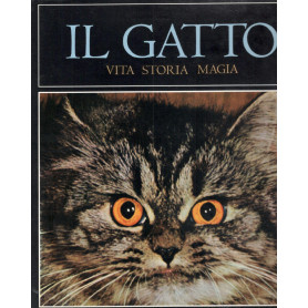 Il gatto