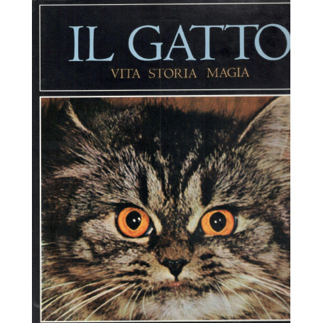 Il gatto