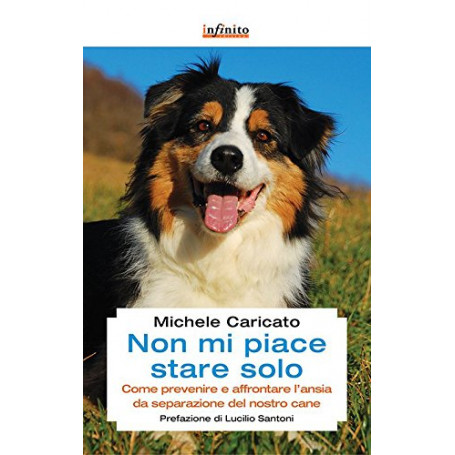 Non mi piace stare solo. Come prevenire e affrontare l\'ansia da separazione del nostro cane