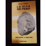 La vita dei pesci