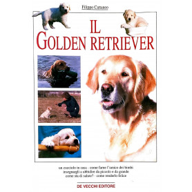 Il golden retriever