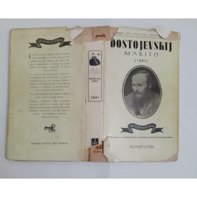 Dostojevskij marito (1881)