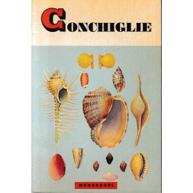 Conchiglie
