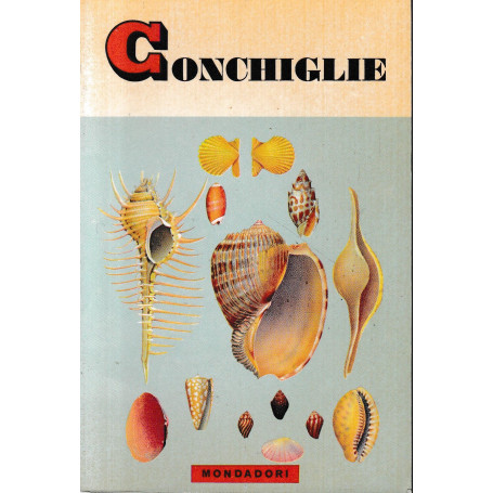 Conchiglie