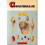Conchiglie