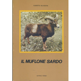 Il muflone sardo