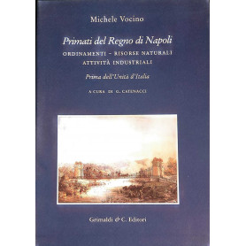 Primati del regno di Napoli - ordinamenti risorse naturali attività  industriali