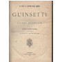 Gl'insetti (la vita e i costumi degli animali)