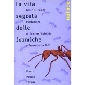 La vita segreta delle formiche