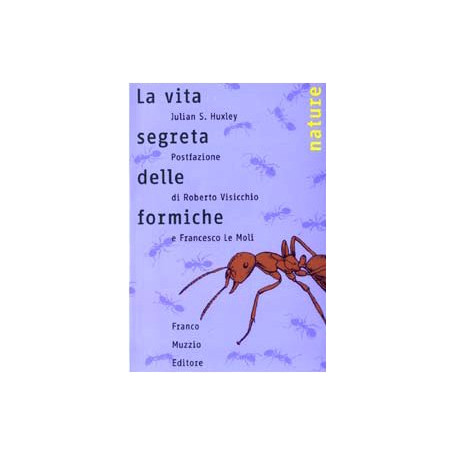 La vita segreta delle formiche