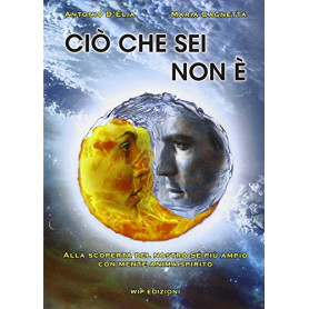 Ciò che sei non è. Alla scoperta del nostro sé pià¹ ampio con mente anima spirito