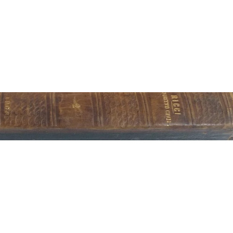 Corso teorico-pratico di Diritto Civile. Volume II: dei Beni