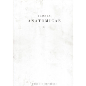 Icones Anatomicae 2
