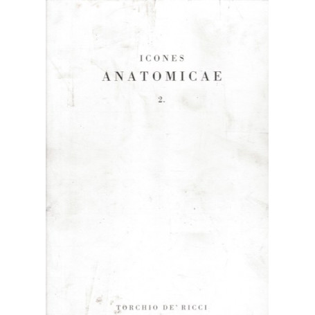 Icones Anatomicae 2
