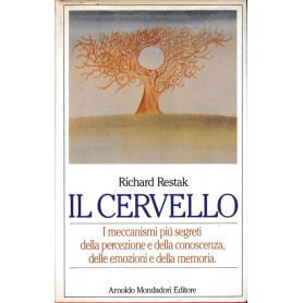 Il cervello