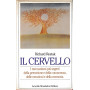 Il cervello