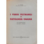 I virus filtrabili in patologia umana
