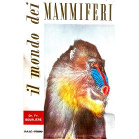 IL MONDO DEI MAMMIFERI