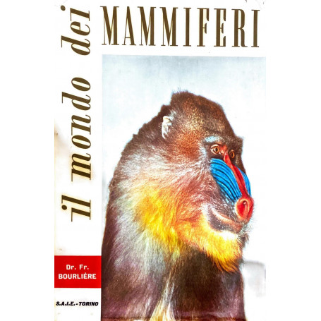 IL MONDO DEI MAMMIFERI