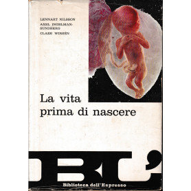 La vita prima di nascere