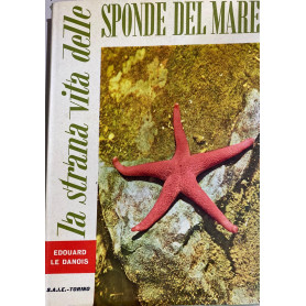 La strana vita delle sponde del mare