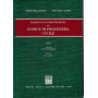 Rassegna di giurisprudenza del Codice di procedura civile.  Artt. 75-111 (Vol. 1/2)