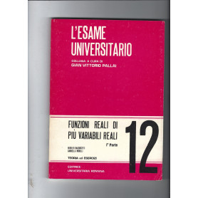 Funzioni reali di pià¹ variabili reali