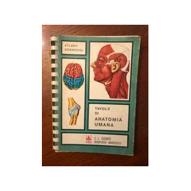 Tavole di anatomia umana
